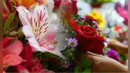 Feliz San Valentín: estas son las flores que puedes regalar a tu pareja este 14 de febrero