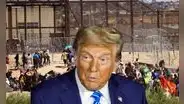 ¡Mucha atención en EE. UU.! Estos son los grupos de inmigrantes que no serían deportados por Donald Trump