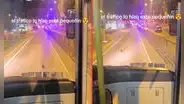 Perrito genera tráfico en el carril del Metropolitano en Comas y en redes dicen: "¿Cómo le explico esto a mi jefe?"