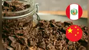 Exportaciones de chocolate peruano sumaron US$ 66,8 millones en 2024 y apuntan a China como nuevo mercado