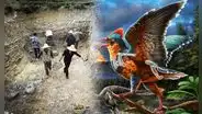Científicos chinos descubren uno de los fósiles de aves más antiguos del mundo: cambia la historia de su evolución