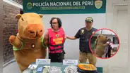 Cae alias ‘Machín’: policía se disfraza de capibara por San Valentín para capturar a microcomercializador de drogas