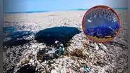 La Isla de Basura que supera el tamaño de Perú con 80.000 toneladas de plástico: se encuentra en el océano Pacífico