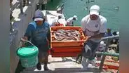 Economía peruana cerró el 2024 con un crecimiento de 3,3%, lejos de su máximo potencial