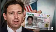 Nueva Ley Ron DeSantis aplica Licencia Universal para trabajadores en Florida: impulsa movilidad interestatal