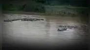 Un muerto y un desaparecido tras intentar traficar 30 bidones de gas por el río de Tumbes desde Ecuador
