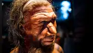 Descubren en Francia un neandertal con un ADN único que cambia la historia de su especie: estuvo aislado por más de 50.000 años