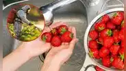 Así debes lavar las fresas para eliminar pesticidas, según expertos: este es el error que todos cometen