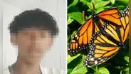 Adolescente muere tras inyectarse restos de mariposas: Policía de Brasil investiga si fue por reto viral