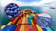 Exportaciones peruanas de frutas y hortalizas a la Unión Europea registran récord de US$2.400 millones