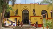 Este museo alberga la colección biológica más grande del Perú y le pertenece a una universidad pública