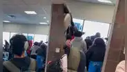 Caos en aeropuerto de Atlanta: video viral capta pelea masiva entre pasajeros en plena puerta de embarque