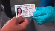 Real ID en California: revisa cómo obtener la identificación federal y decirle adiós a la licencia de conducir en 2025