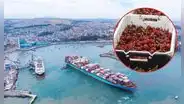China frena importación de cerezas chilenas: 1.300 contenedores en riesgo de ser rechazados por "malas condiciones"
