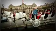 Gestión de López Aliaga insiste en millonario plan de transporte a caballo en centro de Lima: estaría listo en 2025, asegura MML
