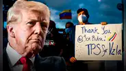 Trump en jaque: organizaciones para defender inmigrantes venezolanos en EE. UU. rechazan la suspensión del TPS