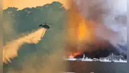 Incendio forestal en Japón arrasa más de 1.200 hectáreas, destruyó 84 hogares y dejó un muerto: es el más grande en 30 años