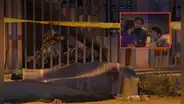 Joven es asesinado a balazos frente a su novia tras ser perseguido por dos sujetos en motocicleta en San Juan de Lurigancho