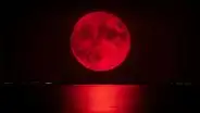 Luna de sangre en Florida 2025: fecha, hora y cómo ver el eclipse total lunar en el sureste de Estados Unidos