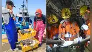 Producción de pesca, minería e hidrocarburos creció en enero: ¿qué factores impulsaron el resultado?