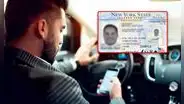 Licencia de conducir en Nueva York: la app que te permitirá mostrar el permiso de manejo y tu Real ID desde el celular