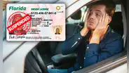 Licencia de conducir en Florida: FLHSMV suspenderá el documento a los conductores hasta por 1 año por esta razón