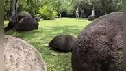 Los sitios arqueológicos que puedes visitar en Costa Rica: algunas estatuas fueron vendidas o donadas a museos de Norteamérica