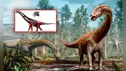 Descubren dos nuevas especies de dinosaurio en Rumania: conexiones con parientes en Sudamérica, África y Asia