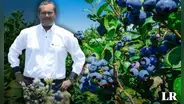 El ingeniero de la UNALM que con solo S/1.000 logró volver al Perú en potencia mundial en exportación de arándanos y superó a Chile
