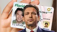 Licencia de conducir en Florida: lista de documentos que no serán válidos en el gobierno de Ron DeSantis
