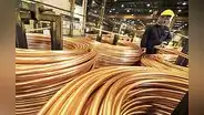 Japón fue el quinto destino de las exportaciones peruanas en 2024