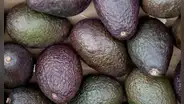 Exportación de paltas peruanas a Japón cayó 6,4% en 2024