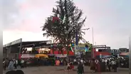 Varón sobrevive tras ser aplastado por árbol de yunzada en Arequipa