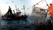 Pescadores rechazan proyecto en el Congreso contra Reglamento de la Ley 31749