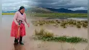 Lluvias inundan carreteras y sembríos de pan llevar en Puno: viven en medio del agua