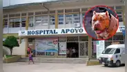 Docente pierde la mitad del cuero cabelludo tras ataque de pitbull y queda en UCI: intentaron sobornarla para que no denuncie
