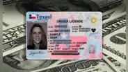 Licencia de conducir en Texas: DPS entregará el documento gratuito a los conductores que cumplan con estos requisitos