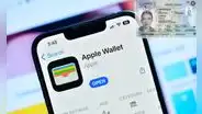 USA: en estos estados podrás almacenar tu licencia de conducir a través en Apple Wallet si tienes Iphone