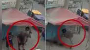Cámaras captan instante en que sicarios asesinan a menor de 16 años que trabajaba como mototaxista en San Juan de Lurigancho