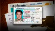 California: consigue fácilmente la licencia de conducir para inmigrantes con estas recomendaciones del DMV