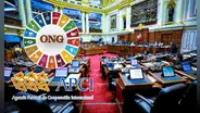 Congreso da golpe contra las ONG a través de ley que somete su financiamiento y persigue sus actividades