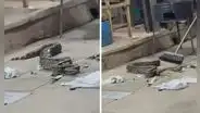 Clientes quedan en shock al encontrar una boa en una parrilla de San Martín: "Quería bailar"