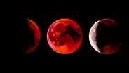 ¿Cómo ver el eclipse lunar desde Perú este 14 de marzo?
