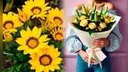 ¿Qué simbolizan las flores amarillas y cuál es la razón de regalarlas este 21 de marzo?
