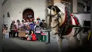"No a los carruajes con caballo": colectivo busca frenar microsistema de transporte de la MML de S/14 millones