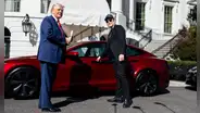¿Qué le pasa a Tesla de Elon Musk? Todo sobre la fuerte caída de sus ventas globales y las actividades políticas que afectan su valor