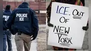 ¡Malas noticias para inmigrantes en Nueva York! Avanza proyecto de ley para intensificar arrestos y deportaciones del ICE