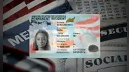 Buenas noticias para inmigrantes con Green Card: estos son los programas sociales para residentes permanente en USA