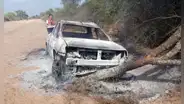 Hombre iba a visitar la tumba de su madre, pero murió calcinado tras ser atacado por abejas y chocar su camioneta en Argentina