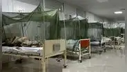 Serotipo 3 del dengue causa preocupación: ya hay más de 18.600 casos y 28 defunciones